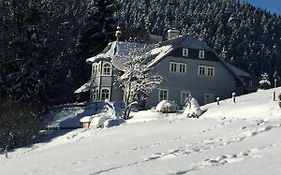 Penzion Modrý Pavilon